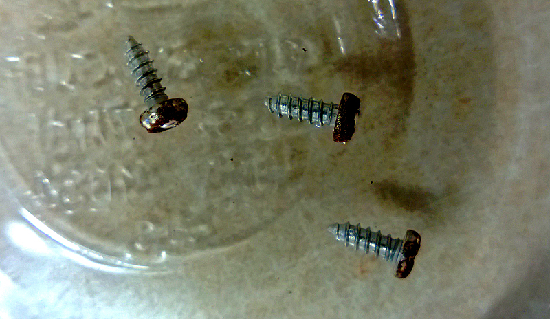 The rusty screws spent the night soaking completely in a dish of vinegar.